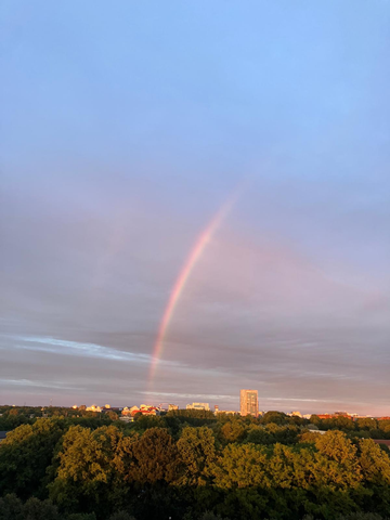 Výhled z okna ubytování. Mimo jiné i na budovu, ve které se nachází kancelář. | Foto: archiv Nathaly Sarah Kornfeldové