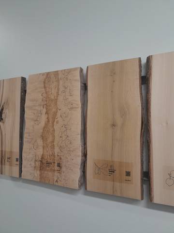 dřevo používané v laboratořích