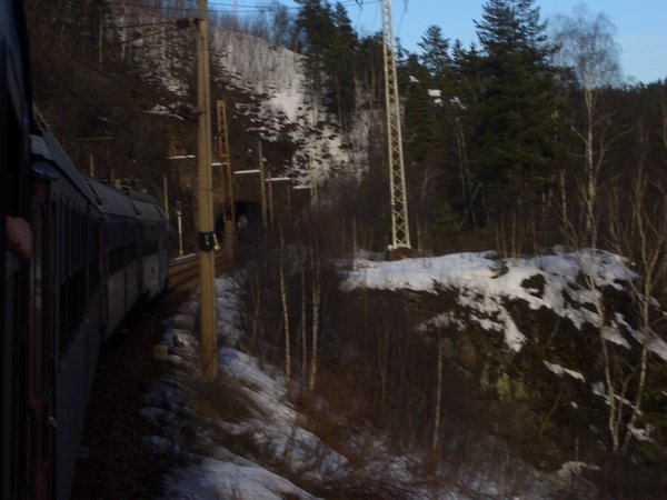 CIMG1376.JPG