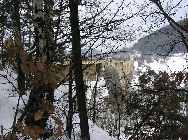 P2170030.JPG