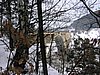P2170030.JPG
