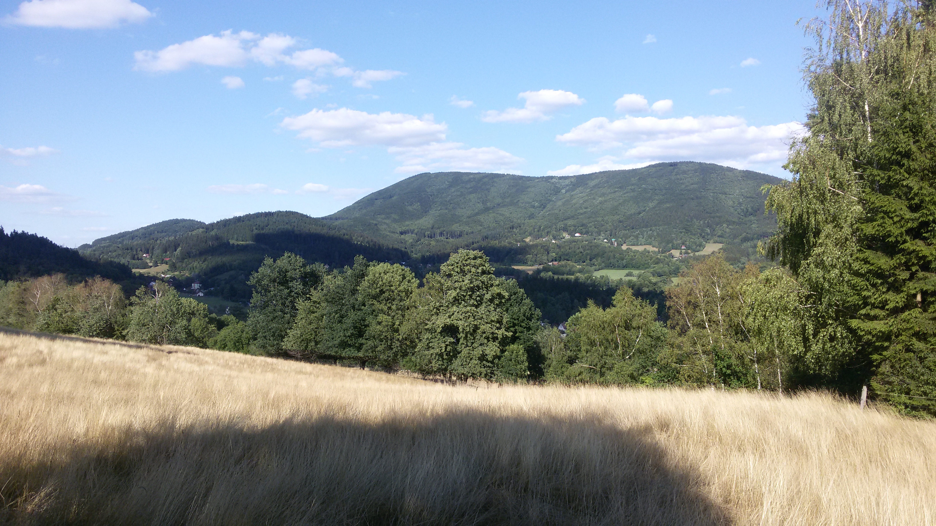 20150730_173225.jpg
