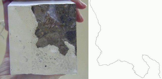 Vzorek namo�en� do b�l� barvy + digitalizovan� �ez