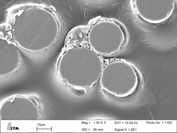 Microspe photo