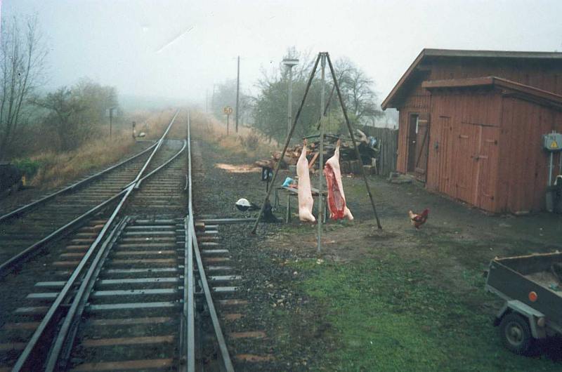 Poklidn ndrako